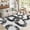 Black White, variant on 10x13 Washable Rug Non Slip Non Shedding Rug Modern Abstract Snake Pattern Indoor Carpet Contemporary Low Pile Floor Cover for Bedroom Living Room Dining Room, Black White/ 10'× 13'