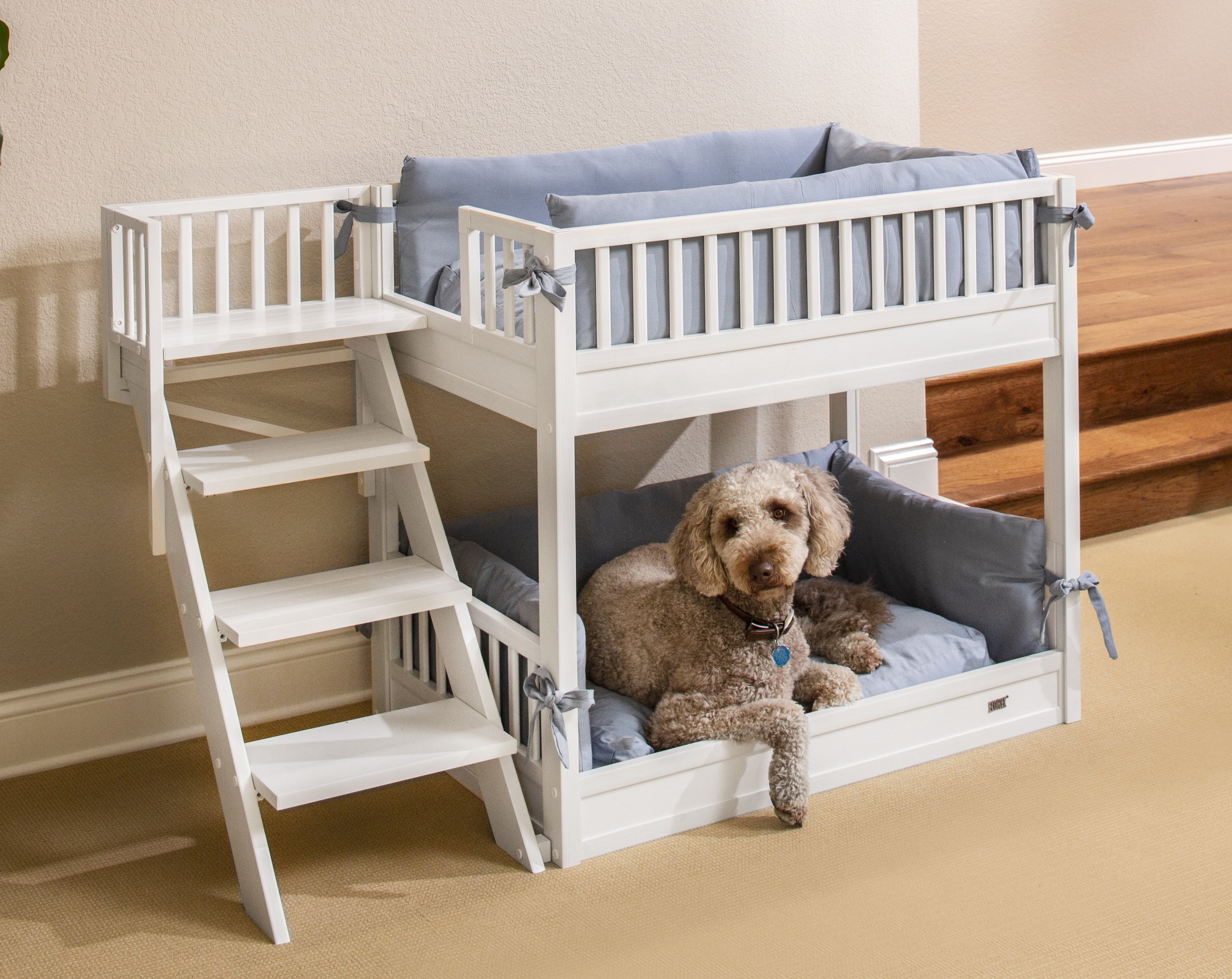 `New Age Pet ECOFLEX Aspen Dog Bunk Bed in Antique White, Two Memory Foam Cushions