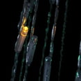 thumbnail image 4 of Northlight LED Lighted Show Cone Christmas Tree Outdoor Decoration - 12' - Multicolor, 4 of 4