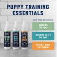thumbnail image 5 of Rocco & Roxie Don't Mark Here Puppy Housebreaking & Training Aid Spray, 8 fl oz, 5 of 6