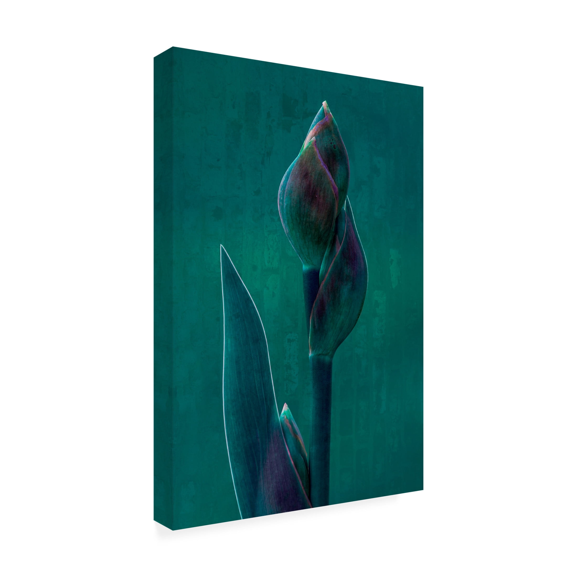 Canvas Wall Art - Chris Hamilton 'Blue Charade ' Wall Art for Living Room, Bedroom, or Office Décor by Trademark Fine Art - 12 x 19 Inches