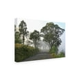 thumbnail image 2 of Beata Czyzowska Young 'Foggy Path' Canvas Art, 2 of 3