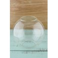 thumbnail image 3 of Glass Terrarium Globe 7 inches, 3 of 3