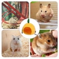 thumbnail image 3 of Wosthever nido de frutas para mascotas, fruta de dibujos animados, piña, rana, nido de algodón, cama colgante creativa, hamaca para hámster Juegos de accesorios de baño Numero 3 Wosthever HA045774-03, 3 of 6