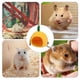 thumbnail image 4 of Toystoory nido de frutas para mascotas, fruta de dibujos animados, piña, rana, nido de algodón, cama colgante creativa, hamaca para hámster Juegos de accesorios de baño Numero 3 Toystoory HA045774-03, 4 of 6