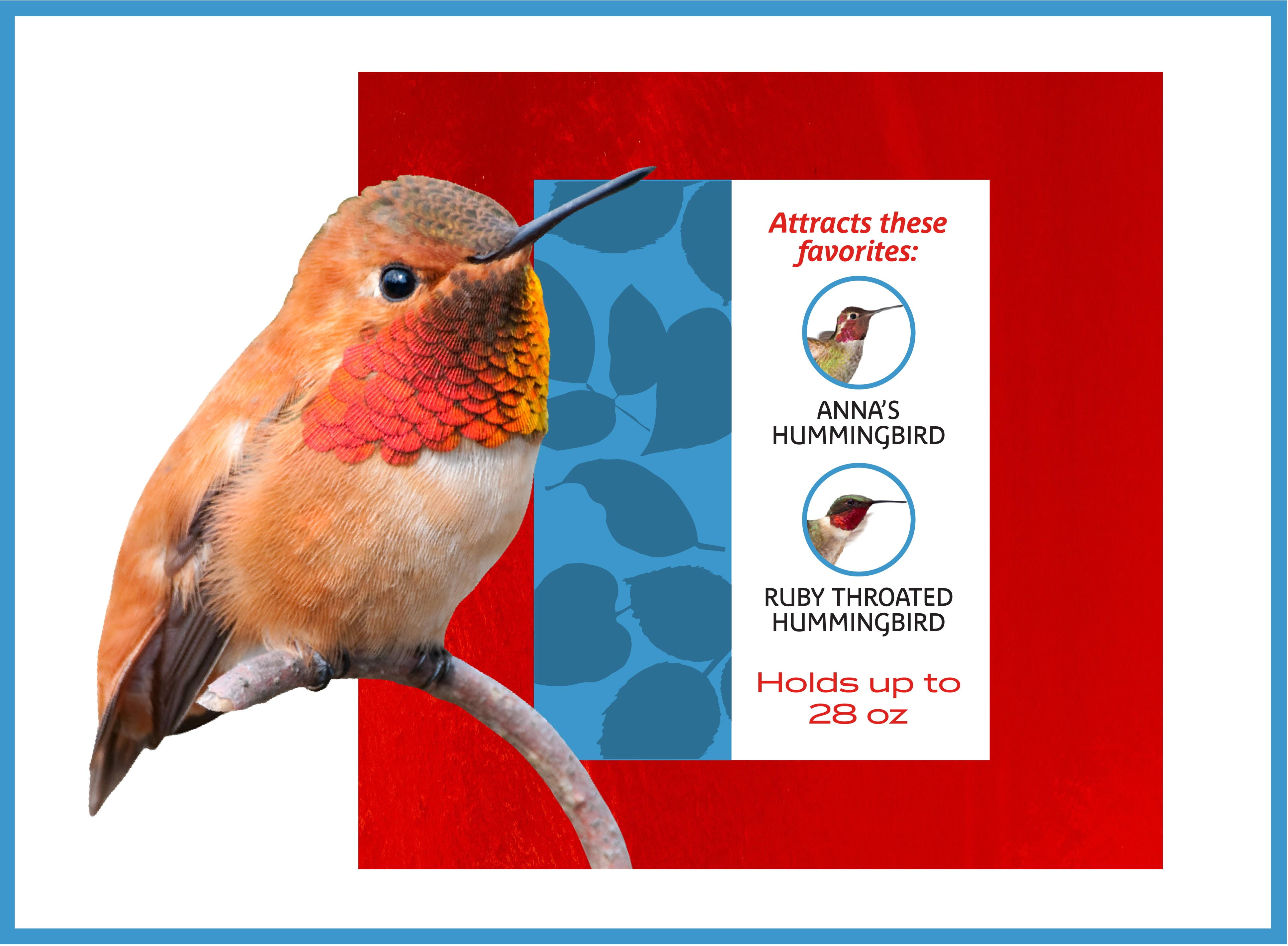 Pennington Decorative 28 Oz Glass Hummingbird Feeder Shelly Lighting