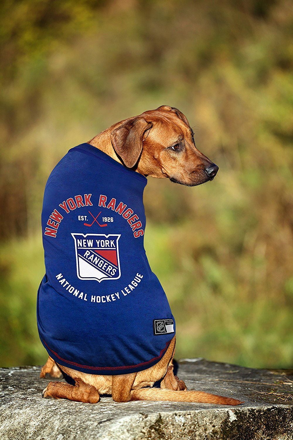 new york rangers dog jersey
