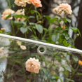 thumbnail image 4 of RAINBOW Lona Transparente con Ojales, Lona Protectora Exterior para Jardines 420g/m², Plantas, Lona de PVC Impermeable, con Cuerda y Sujetacables (23m) esquí esquí Gafas de esquí, 4 of 5