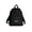 Black, variant on Canvas Backpack, from StockX