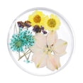 thumbnail image 3 of Decoración 3D Flor seca natural real para puntas de arte de uñas acrílicas de gel - 04, Yuyangstore Flores secas de uñas 3D, 3 of 8