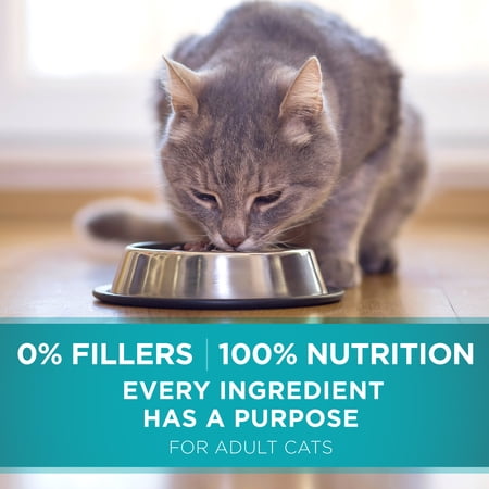 Purina One Tender Selects Blend Dry Cat Food Salmon, 7 lb Bag - Image 2