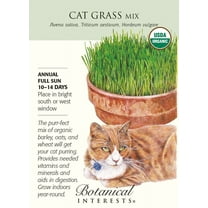 Organic Cat Grass Mix Seeds - 15 grams