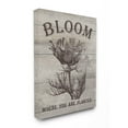 thumbnail image 2 of Stupell  Bloom Where You're Planted Vintage Flower Line Drawing Stretched Canvas Wall Art 24 x 30, 2 of 5