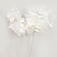 thumbnail image 3 of Artificial Eucalyptus 20 Branches Dried Eucalyptus Stems for Arrangements White, 3 of 4