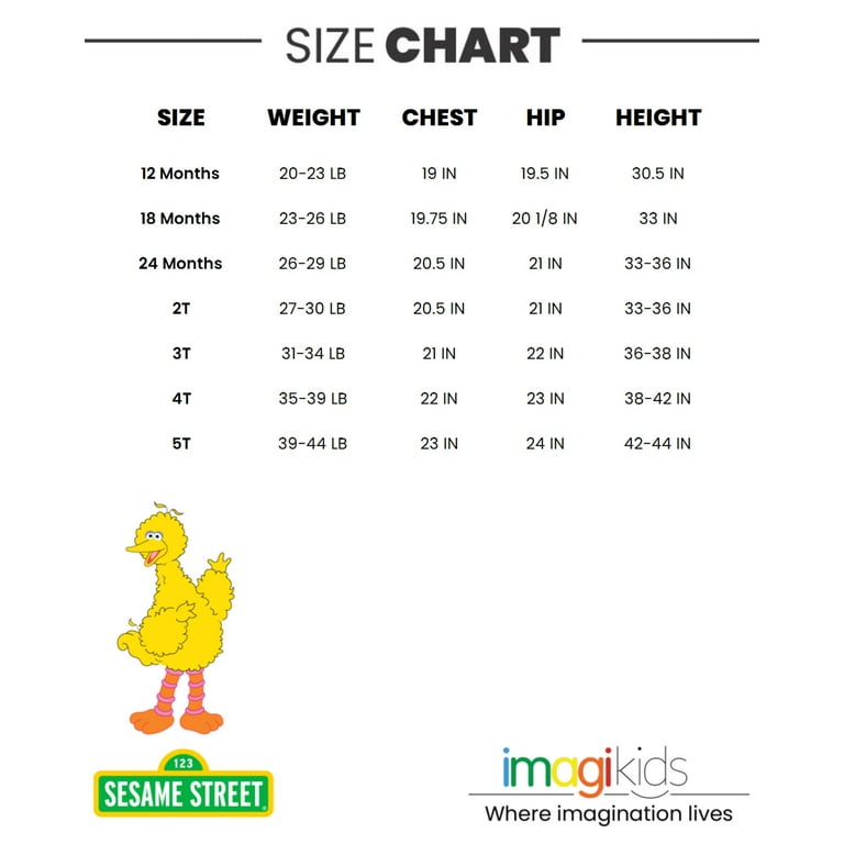 Sesame Street Big Bird Infant Baby Boys Fleece Pullover Hoodie