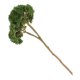 thumbnail image 5 of MERRYHAPY Plantas Suculentas Decorativas Resistentes Para Uso En Interiores Y Exteriores Con Tacto, 5 of 8