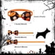 thumbnail image 2 of Pajarita para mascotas (2024), diseño de calabaza, murciélago y madera, ideal como decoración festiva., 2 of 3