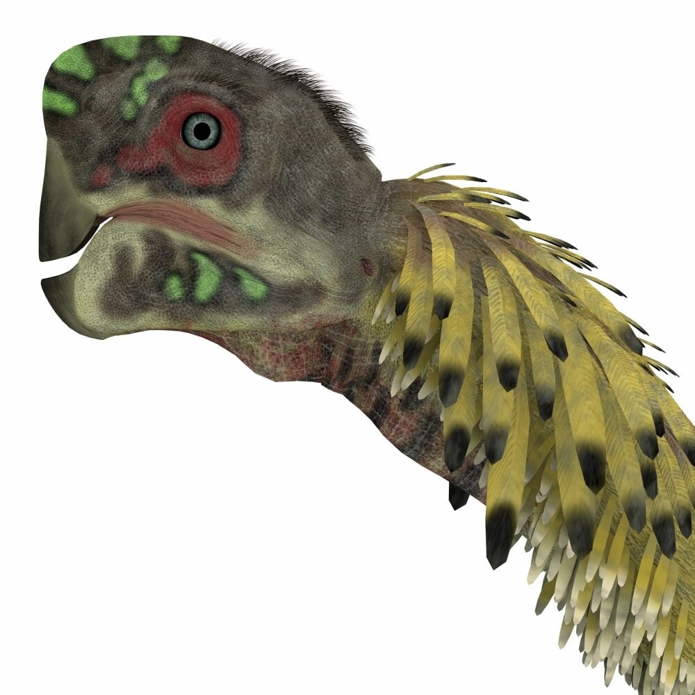 dinosaur with flaps around head