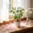 thumbnail image 5 of Artificial Money Tree Bonsai, 9.84 in Faux Potted Plants for Desk Shelf Office Bathroom Decor, Green, 5 of 6