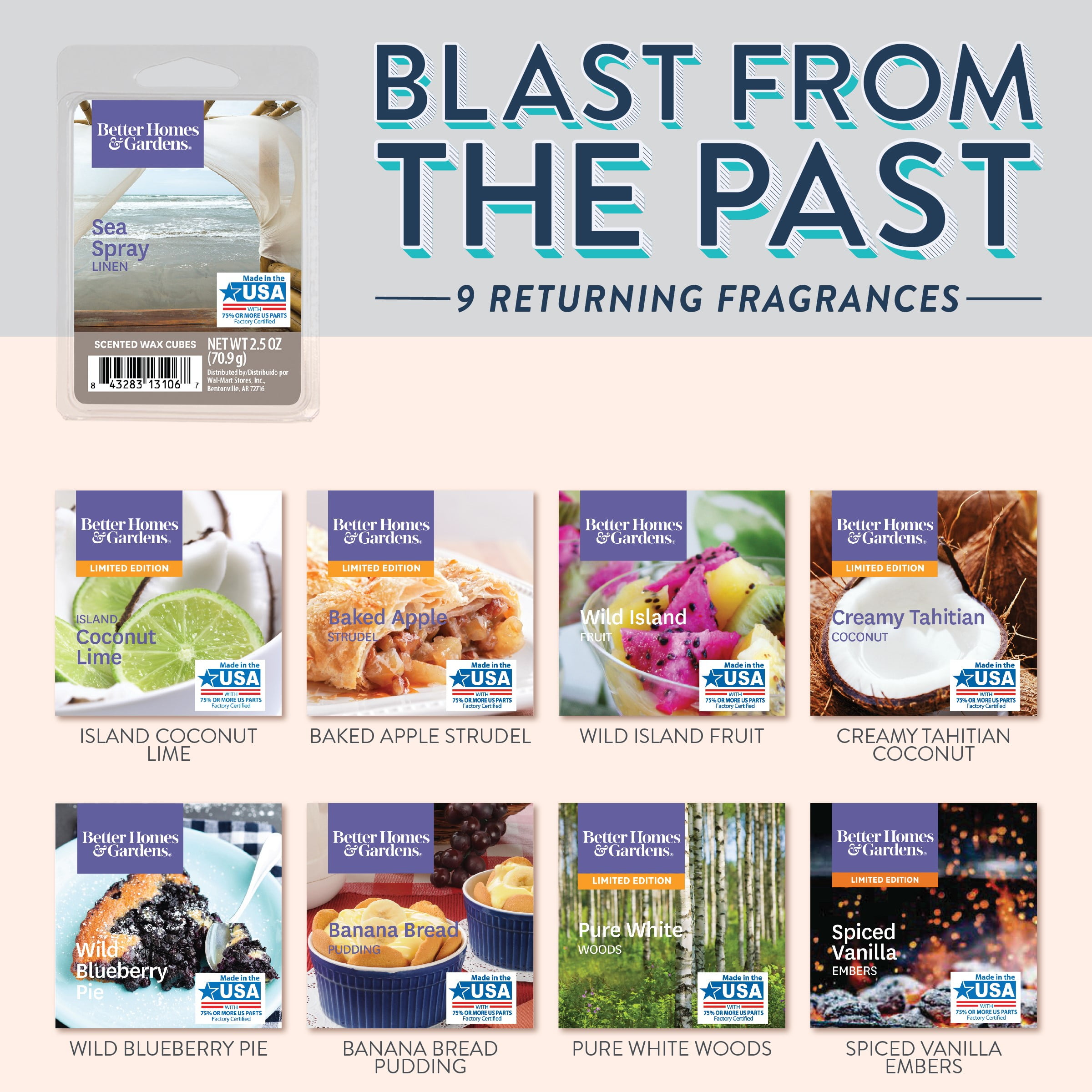 Blast from the Past Collection: Oatmeal Cookie Scented Wax Melts