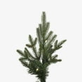 thumbnail image 2 of Vickerman 10' x 63" Kamas Fraser Fir Tree, Warm White Low Voltage 3MM LED Lights., 2 of 5