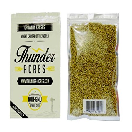 Get Rid Grass - Non-GMO, Thunder Acres Premium Wheat Seed, Cat Grass Seed, Wheatgrass, Hard Red Winter Wheat (2 lbs.)