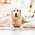 thumbnail image 4 of 40 Pieces Waterproof Disposable Dog Booties Protector, Small Dog Feet Covers with Adjustable Self-Adhesive Bandage, Disposable Dog Shoes Boots for Indoor and Outdoor Use Paw Protection (S), 4 of 7