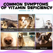 Oimmal 15 in 1 Multivitamin for Dogs, for All Breeds Dogs with Glucosamine Help with Boost Resistance, Digestive & Immune System Support (2 fl oz / 60 ml) - 1Pack Bacon Flavor