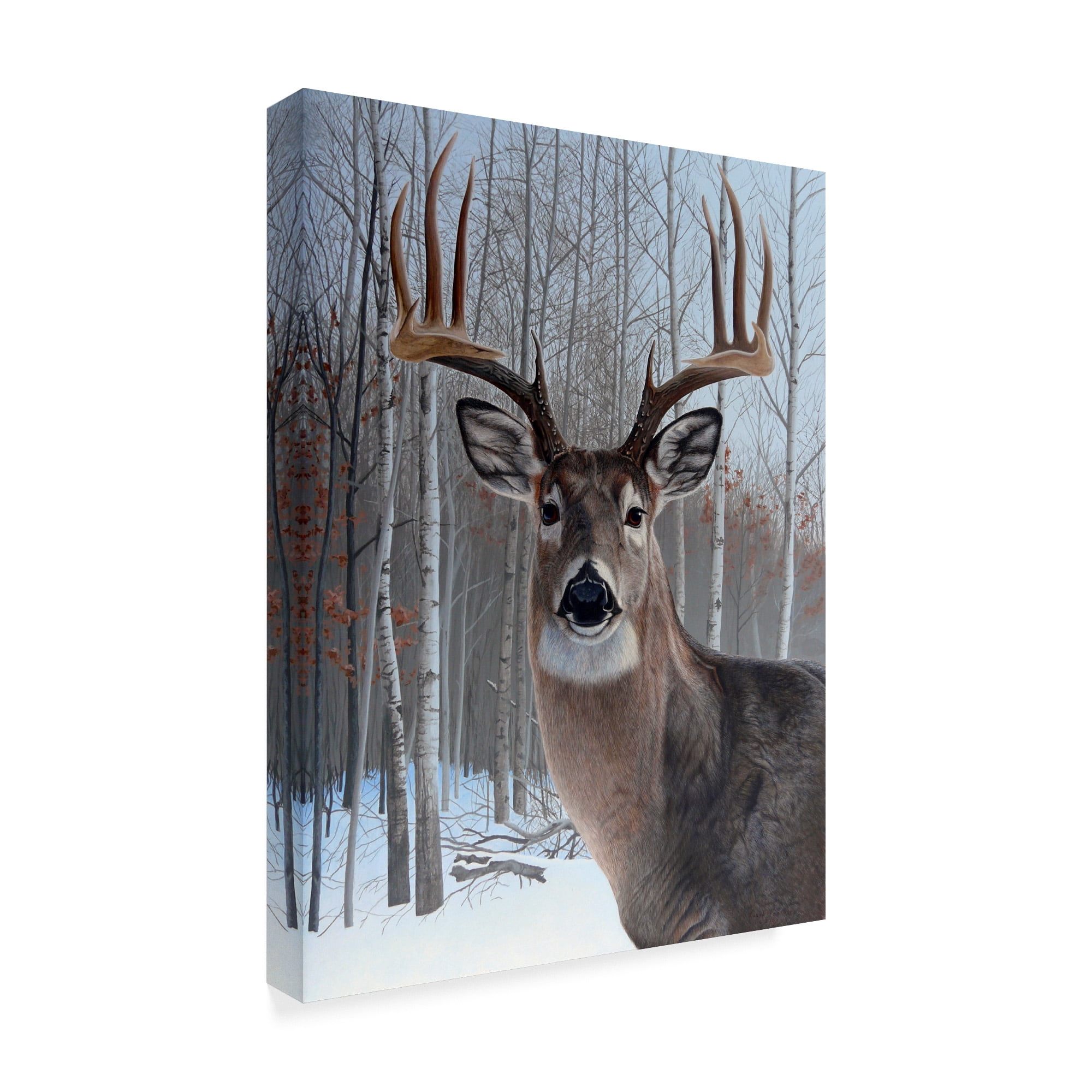 Trademark Fine Art 'Deer' Canvas Art by Rusty Frentner