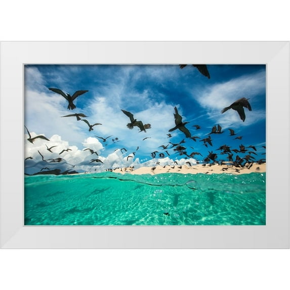 Gabriel, Barathieu 24x17 White Modern Wood Framed Museum Art Print Titled - Ocean bird