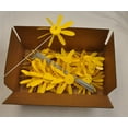 thumbnail image 5 of Beloit Plastics, LLC Early Bloomer Spinning Daisy, 8 inch Dia, 12 Pack, 24 Pack and 24 packPDQ 12, 5 of 5