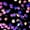 Black Purple, variant on Women's Sequin Velvet Spaghetti Strap Club Party Crop Cami Top