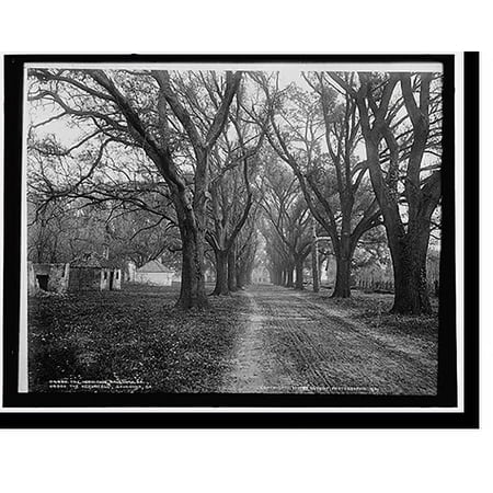 Historic Print, The Hermitage, Savannah, Ga., 16" x 20"
