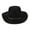 Black, variant on Cowboy Hat Cap Summer Big Brim Sunhat Women Men Props Versatile Cowgirl Hat Jazz Hat for Outdoor Carnival Party Winter Autumn Beige