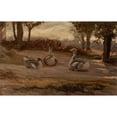 thumbnail image 3 of Elihu Vedder 18x13 Black Modern Framed Museum Art Print Titled - Geese (About 1865), 3 of 5