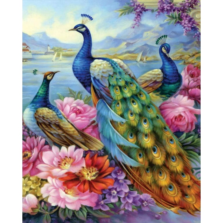 Paint by Numbers for Adults Beginner - TISHIRON Peacocks Adult Paint by  Number Kits with 3 Brushes & Bright Colors, 16x20 inches (Frameless) 