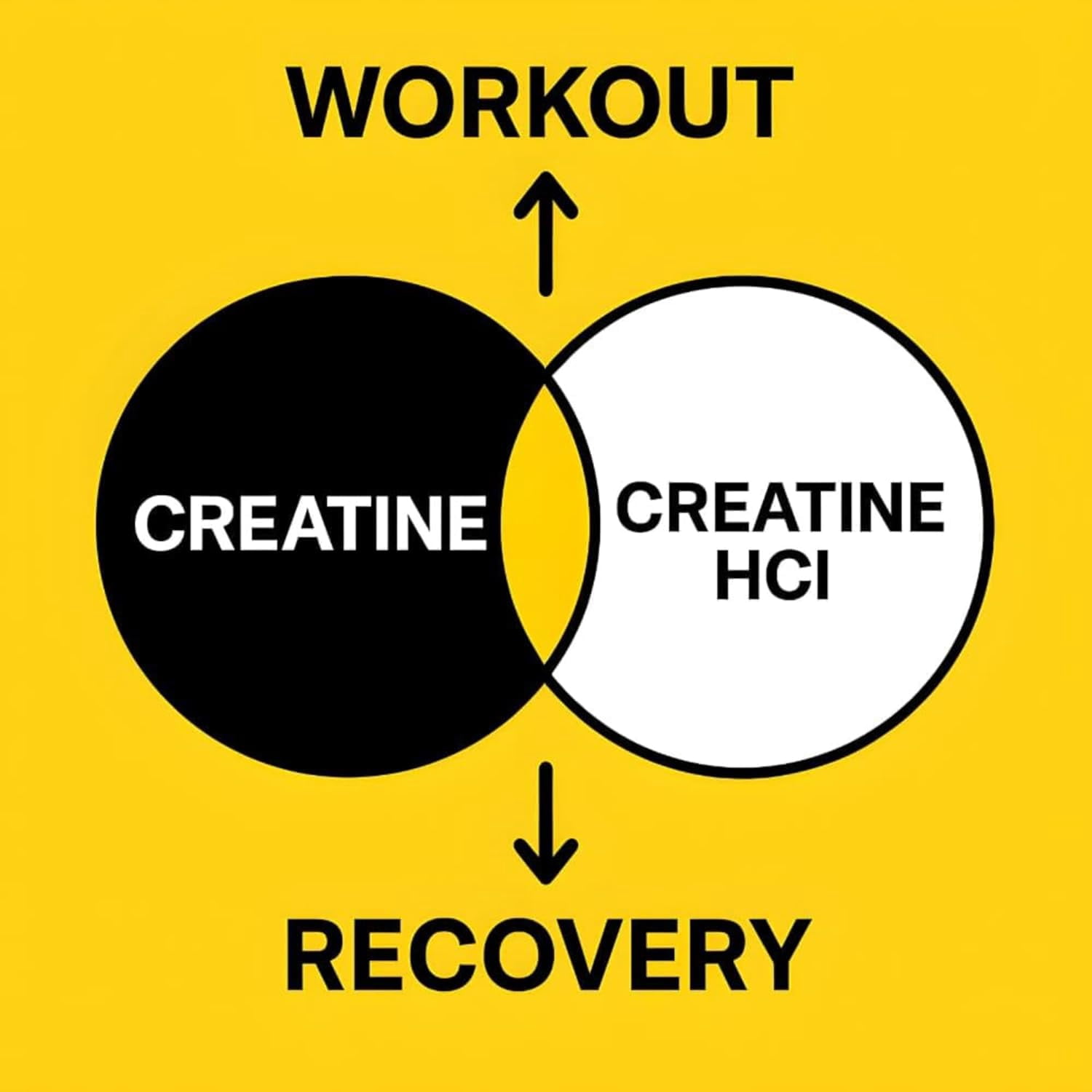 Buy The Crave: Creatine HCL and Creatine Monohydrate Amino Acid Supplements, 16 Oz