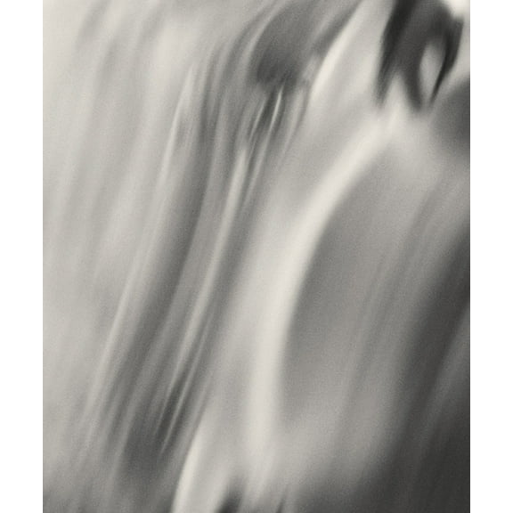 Henry O. Head: Twelve Acres, (Hardcover)