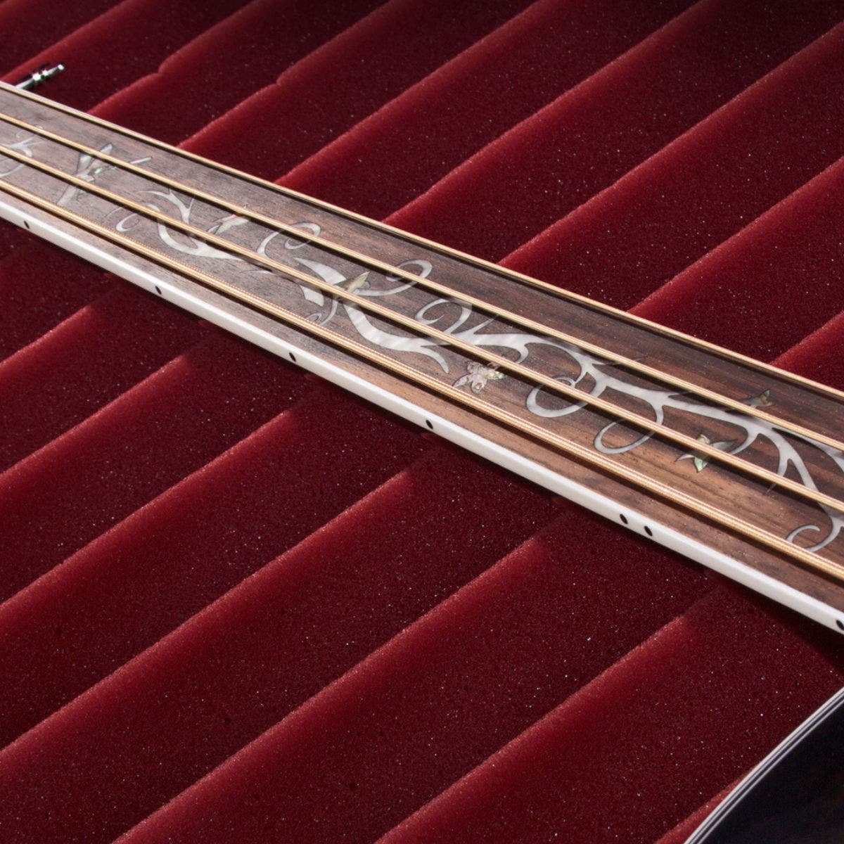 Michael Kelly Dragonfly 4 Fretless Acoustic Electric Bass