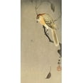 thumbnail image 2 of Koson, Ohara 14x24 Gold Ornate Wood Framed with Double Matting Museum Art Print Titled - Buffalo wing shrike and spider, 2 of 4