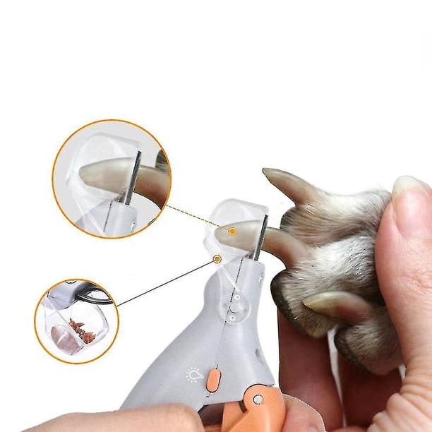 Tijeras profesionales para uñas para mascotas, 1 Uds., tijeras para uñas de perros y gatos, cortauñas con luz Led para mascotas, Boutique gris + naranja
