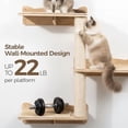 thumbnail image 4 of Cat Wall Shelves, 2-Tier Cat Shelves with Sisal Scratching Post, Sisal Mat Solid Pine Wood Wall Mounted Cat Climbing Furniture, Modular Design, 4 of 8