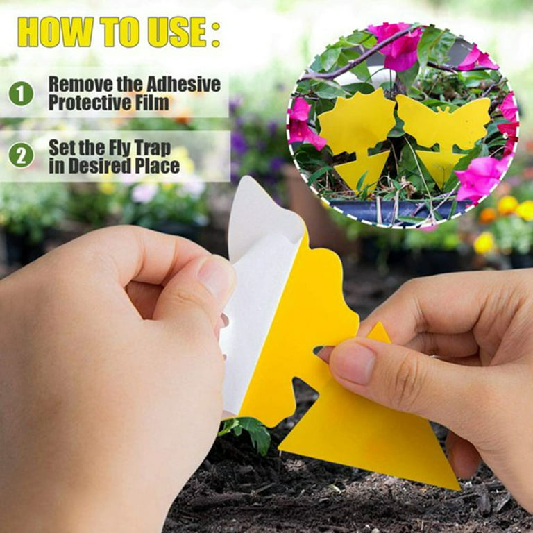  60 Pcs Sticky Traps Gnat Trap, Fruit Fly Trap Fungus Gnat  Killer Indoor Plant Traps, Insect & Fungus Gnats, Whiteflies, Aphids,  Leafminers, Plant Traps : Patio, Lawn & Garden