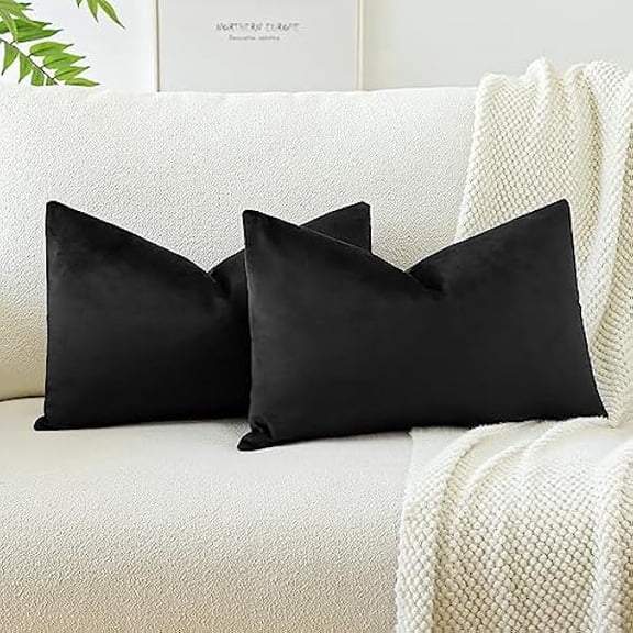Eryueer Set of 2 Velvet Soft Solid Cushion Covers 30x50 cm Decorative Throw Pillow Covers Soft Lumbar Cushion Case Couch Home Decor Throw Pillow Cases for Sofa Bedroom 12x20 Inch (Black)