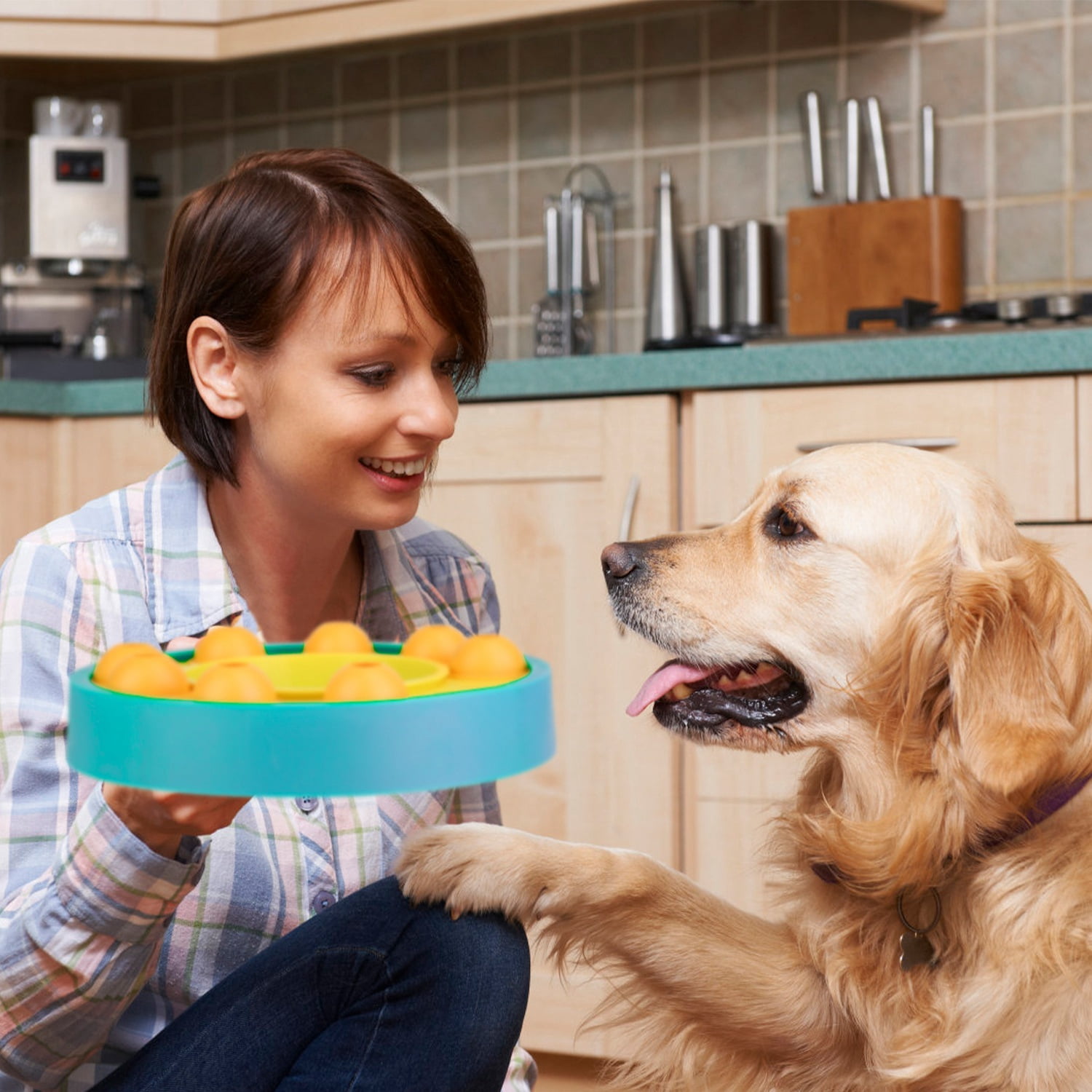Dog Food Puzzle Feeder Toys TeqHome Dog Slow Feeder for IQ