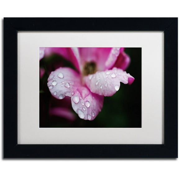 Trademark Fine Art 'Raindrops on Wild Rose Color' Canvas Art by PIPA Fine Art, White Matte, Black Frame