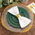 thumbnail image 5 of BalsaCircle 10 Round 10" Hunter Green Disposable Salad Dinner Plastic Plates Embossed Scalloped Trim Party Events Tableware, 5 of 8