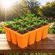 thumbnail image 5 of Propagación Semillas Contenedor La Planta Flores Semilla Cultiva Cajas Bandejas Inicio Plántulas 12 Agujeros Silicona Transpirable Reutilizable para Casa Y Jardines Verdes, 5 of 9