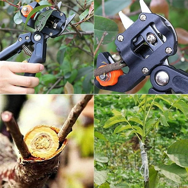 Plant cheap grafting tools