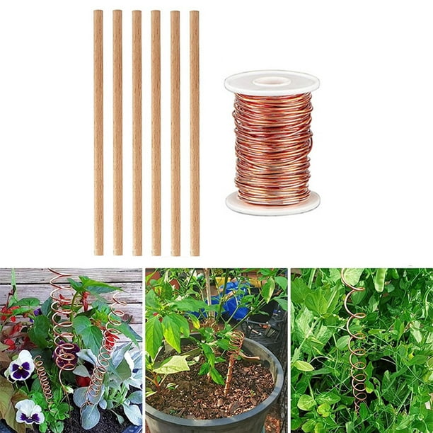 Copper Wire Electric Cultivation Plant Pile for Vegetables Craft